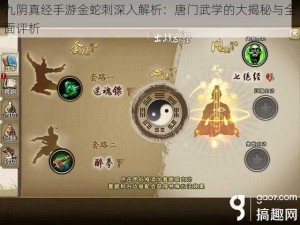 九阴真经手游金蛇刺深入解析：唐门武学的大揭秘与全面评析