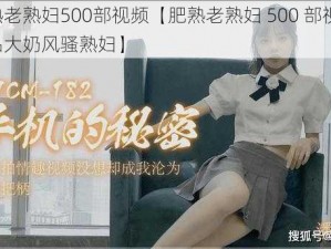 肥熟老熟妇500部视频【肥熟老熟妇 500 部视频，极品大奶风骚熟妇】