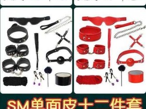 变态另类 bdsm 电击情趣用品，带来前所未有的刺激体验