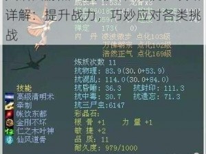 大话西游热血版蝴蝶仙子抗性攻略详解：提升战力，巧妙应对各类挑战