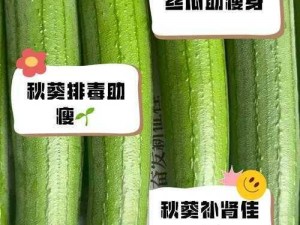 丝瓜和绿巨人蕾丝秋葵的功效：清热化痰、凉血解毒、杀虫止痒