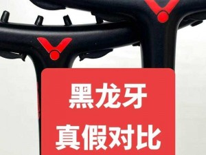 4U黑龙牙实战评测：性能解析与用户体验