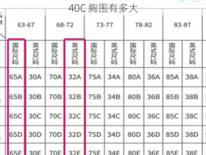 40C 胸围有多大