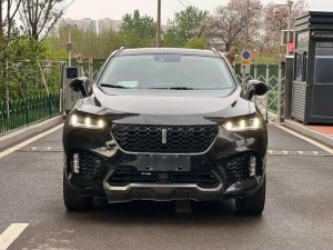 weyvv7 多少钱？一款时尚豪华的中国 SUV，售价约 19 万起