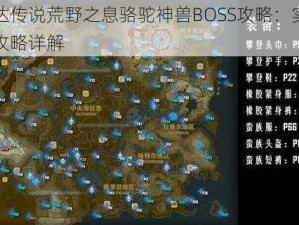 塞尔达传说荒野之息骆驼神兽BOSS攻略：实战技巧与攻略详解