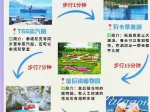 《牧羊人之心双周年盛典召唤流攻略：深入解析二周年召唤流阵容配置详解》