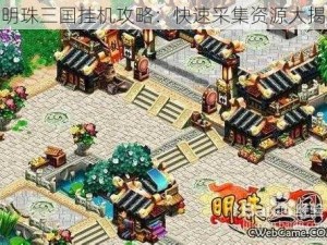 新明珠三国挂机攻略：快速采集资源大揭秘