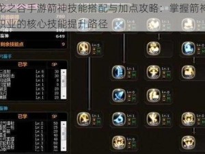 龙之谷手游箭神技能搭配与加点攻略：掌握箭神职业的核心技能提升路径