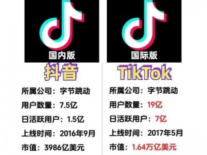 抖音国际版 tiktok 色板——让你的创意无限延伸