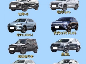 国产SUV精品一区二区6,如何评价国产 SUV 精品一区二区 6？