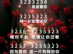 无人区玫瑰的MV_无人区玫瑰的 MV 到底讲了什么？