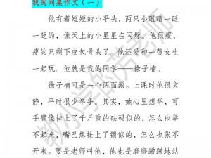 同桌把我带回家作文 800 字——一款集实用与创意于一身的中性笔