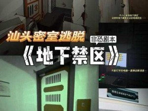 地下秘境揭秘：入口位置解析及其背后的历史与故事真相