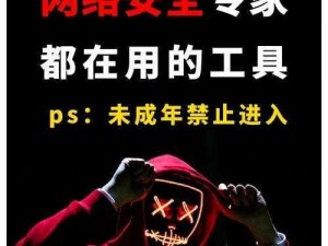 大雷擦狙击网站免费——一款专业的网络安全工具