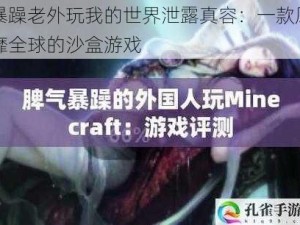 暴躁老外玩我的世界泄露真容：一款风靡全球的沙盒游戏