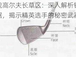 决战高尔夫长草区：深入解析铁杆数据，揭示精英选手的秘密武器库