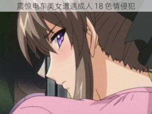 震惊电车美女遭遇成人 18 色情侵犯