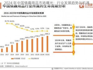 2024 年中国情趣用品市场曝光：行业发展趋势与机遇