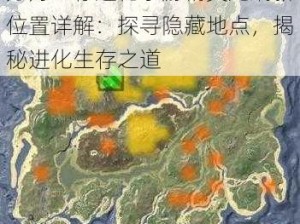 方舟生存进化手游精英龙刷新位置详解：探寻隐藏地点，揭秘进化生存之道