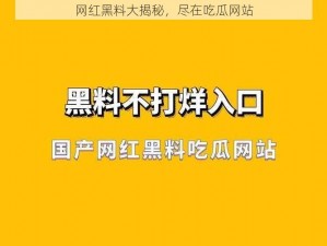 网红黑料大揭秘，尽在吃瓜网站