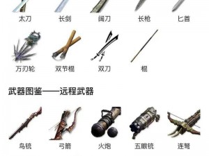 永劫无间角色武器揭秘：冷兵器时代的选择与运用之道