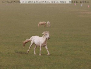 独一无二的大洋马，来自内蒙古草原的天然美味，高蛋白、低脂肪，营养丰富，口感绝佳