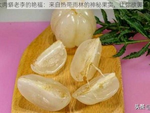 大肉蟒老李的艳福：来自热带雨林的神秘果实，让你欲罢不能