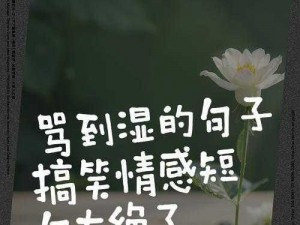 把人骂湿的句子黄句【你真的是个垃圾，没有人会喜欢和你在一起】