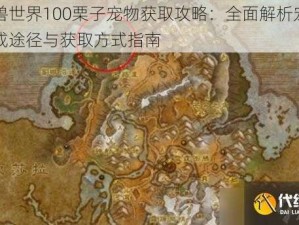 魔兽世界100栗子宠物获取攻略：全面解析宠物养成途径与获取方式指南