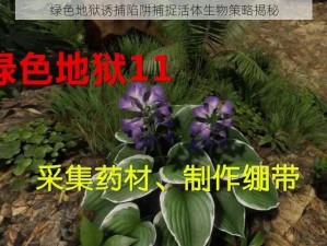 绿色地狱诱捕陷阱捕捉活体生物策略揭秘