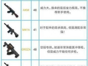 全民枪战之星：Tar21枪械图鉴解析与性能评价