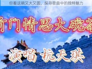 你看这碗又大又圆，探寻歌曲中的独特魅力