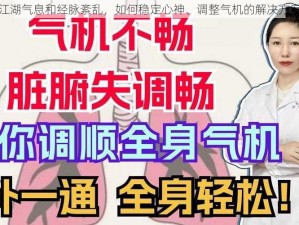 面对江湖气息和经脉紊乱，如何稳定心神、调整气机的解决方案探讨