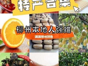 柳州莫柳青三十八集，特色产品抢先看