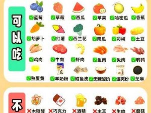 创造与魔法：探索小狗美食之道：食谱大揭秘小狗健康饮食搭配与喂养技巧解析