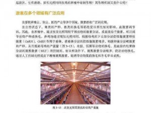 中国老太 XX 性开放：探索新领域的革命性产品