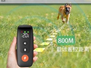 轻度自调任务 60 条狗——多功能宠物训练神器