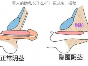 男人的隐私长什么样？看过来，揭秘