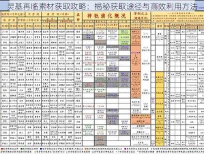 灵基再临素材获取攻略：揭秘获取途径与高效利用方法