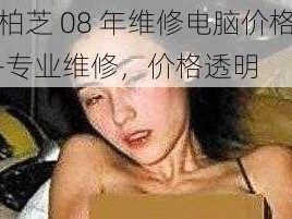 张柏芝 08 年维修电脑价格表——专业维修，价格透明