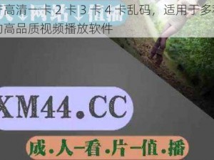 国产高清一卡 2 卡 3 卡 4 卡乱码，适用于多种设备的高品质视频播放软件