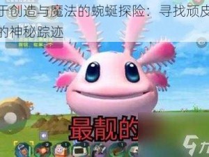 关于创造与魔法的蜿蜒探险：寻找顽皮蝾螈的神秘踪迹