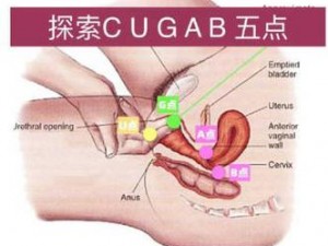 荫蒂添的喷水 A 片视频手摸：最新热点，你绝对没看过