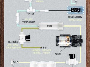 活下去的关键：高效水源收集方法详解