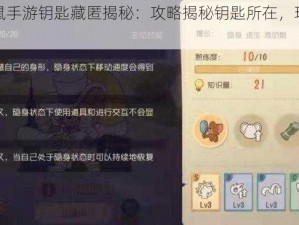 猫和老鼠手游钥匙藏匿揭秘：攻略揭秘钥匙所在，玩转游戏新篇章