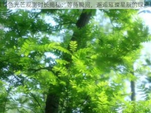 光遇绿色光芒观测时长揭秘：等待瞬间，邂逅璀璨星辰的绿意闪烁