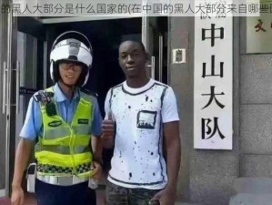 在中国的黑人大部分是什么国家的(在中国的黑人大部分来自哪些国家？)