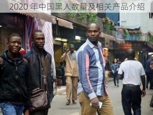 2020 年中国黑人数量及相关产品介绍