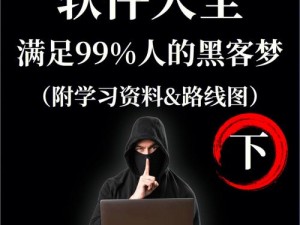 黑客 12 月破解家庭网络免费下载，安全稳定的网络下载工具