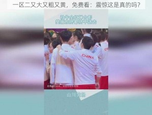 一区二又大又粗又黄，免费看：震惊这是真的吗？